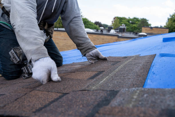 Best Storm Damage Roof Repair  in Atascocita, TX